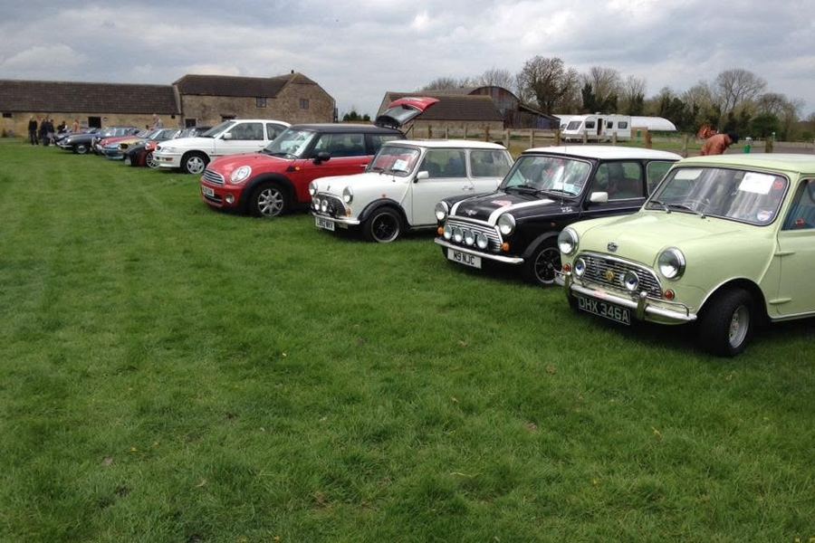 Minis lined up at a meet