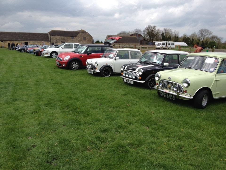 Line-up of classic Minis and modern MINIs on grass